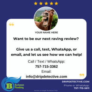 Customer Review invitation, featuring a small circle at the top, containing a camel appearing to smile very widely, underneath a graphic of five stars, Text reads, "Want to be our next raving review? Give us a call, text, WhatsApp, or email, and let us see how we can help! Call / Text / WhatsApp: 757-715-3362 Email: info@dripdetective.com"